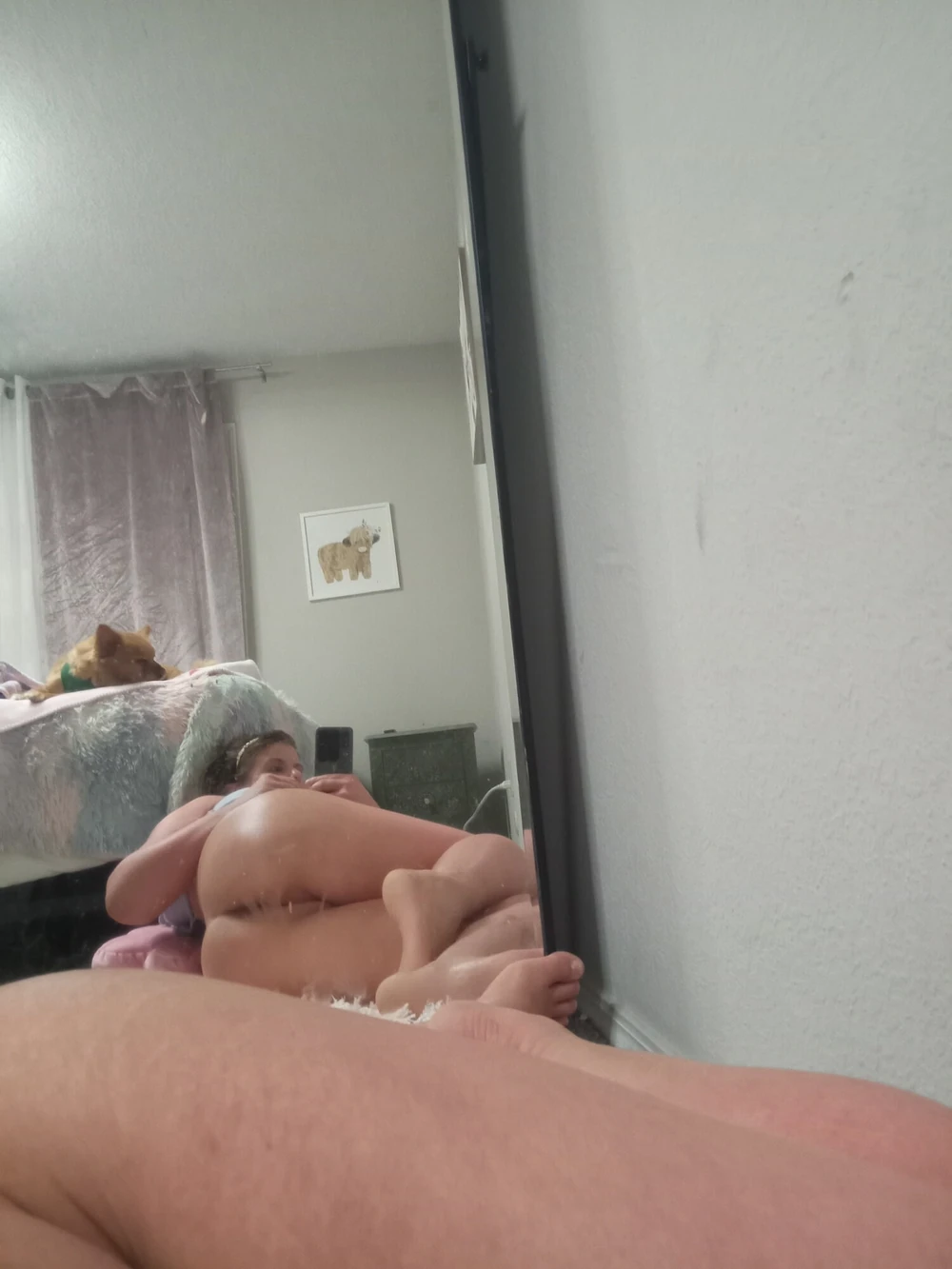 Meow #2