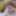 Pictures from the video 09/11/2023