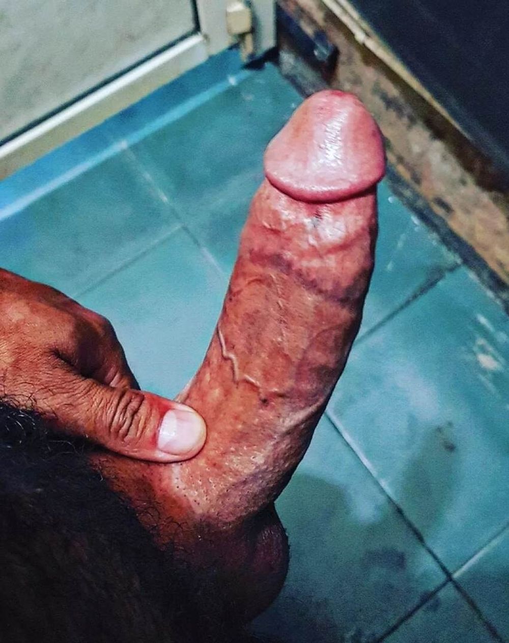 Lebanese hard big dick #4