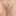 Horny Bareback Creampie member meet