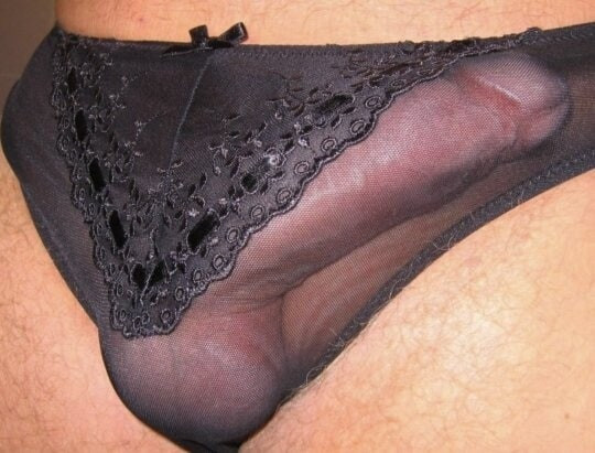 This weeks briefs  #11