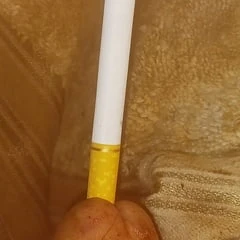 Smoking cock