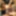 Tightly Gagged In Bondage Betrayal - Selfgags