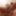 Tuera babe hard clit