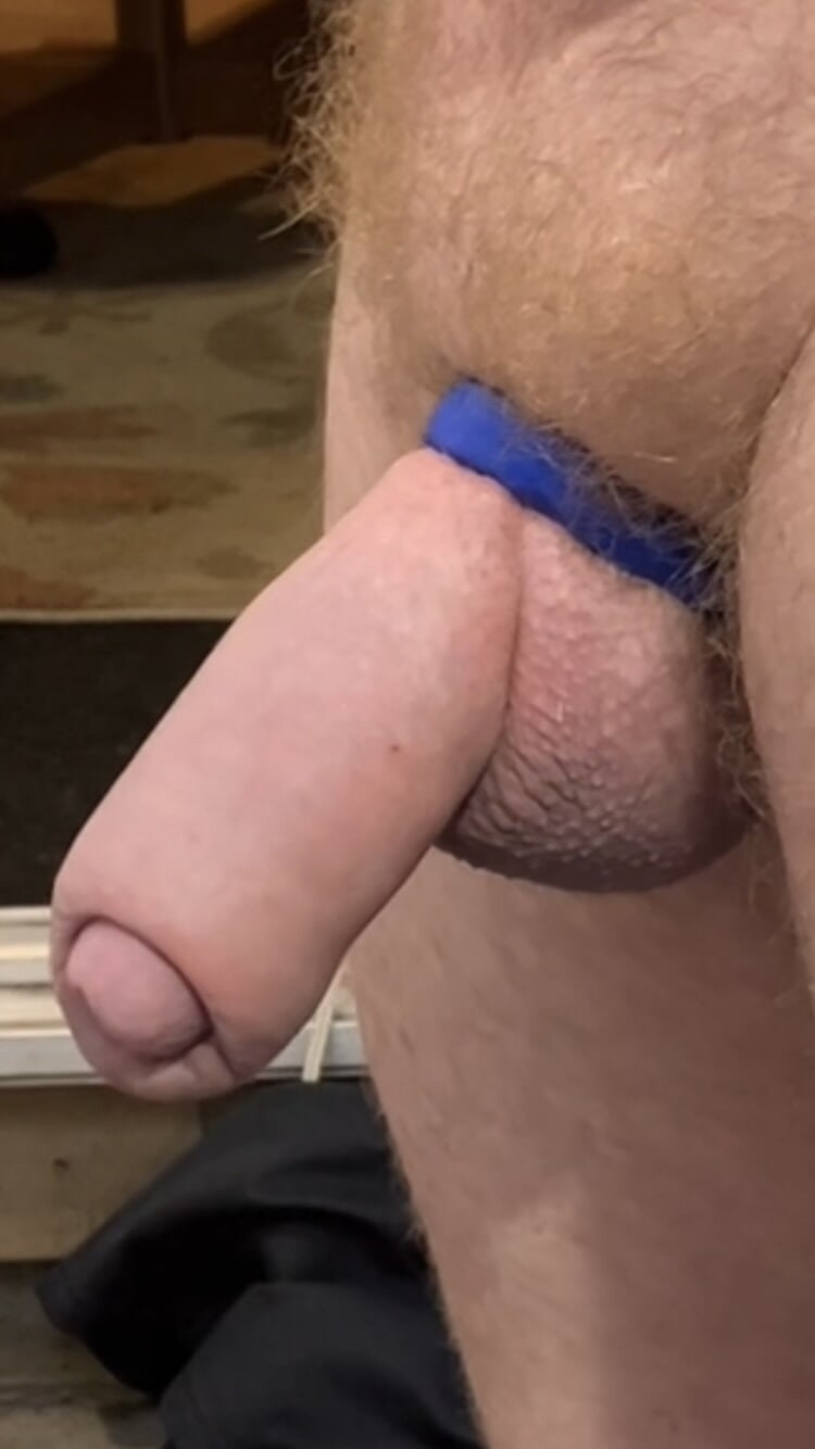 Several pics of my uncut cock #11