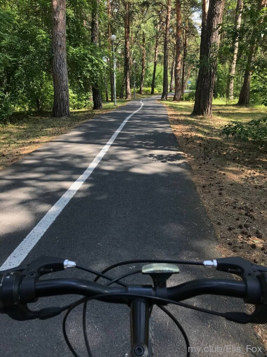 Alice Free Photos #44