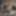 GIF-ing Myself