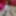 Milly Free Photos #6