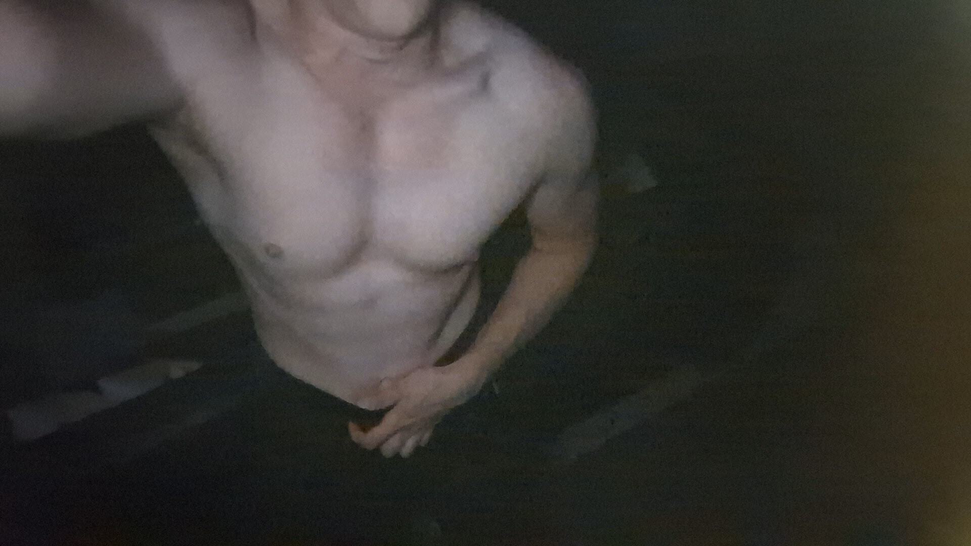 Body