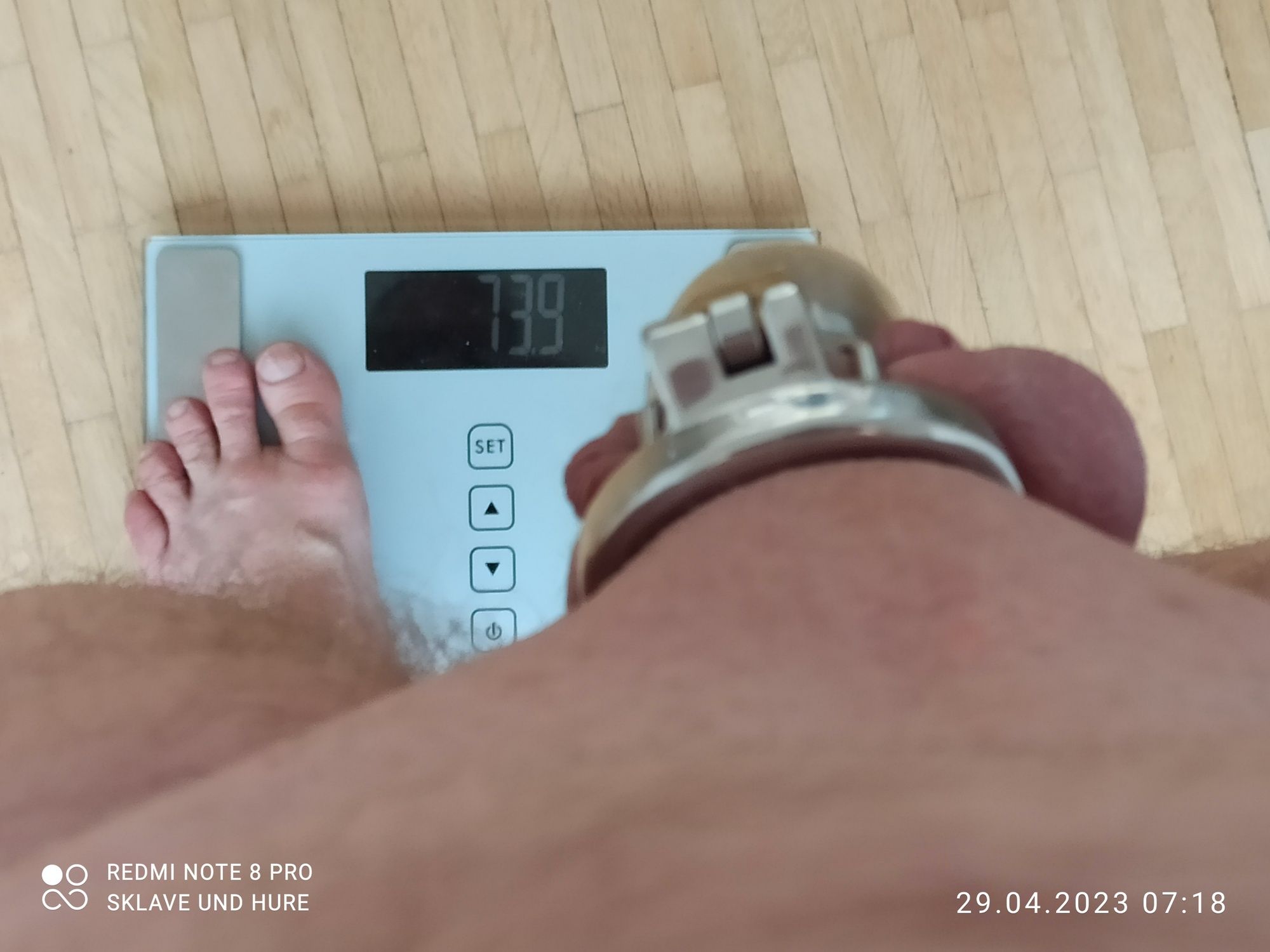 Mandatory weighing cagecheck 29.04.2023 #6