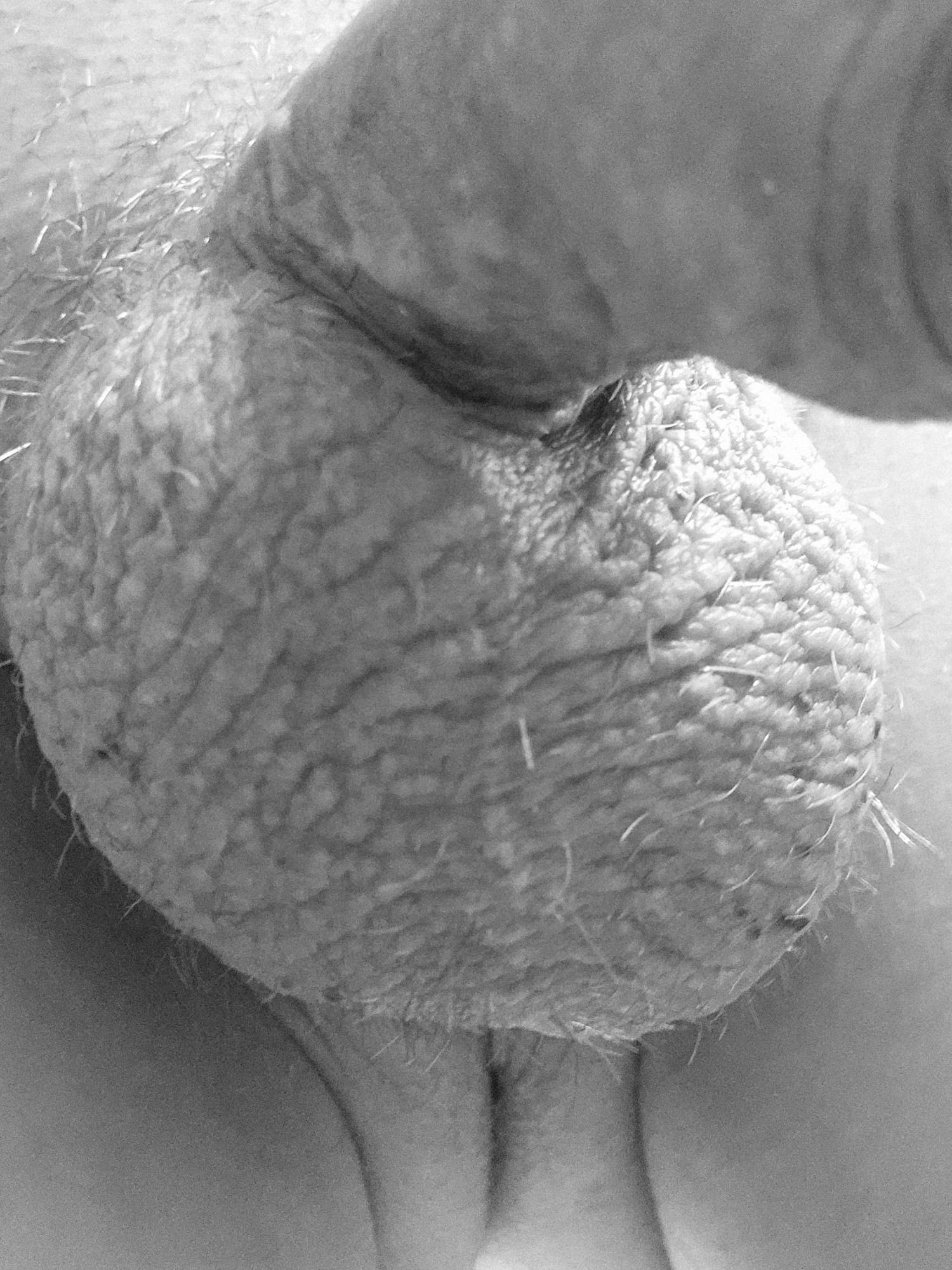 Penis 😍 #21