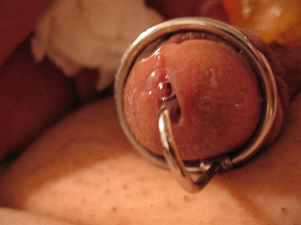 More steel in my cock with glans ring #16