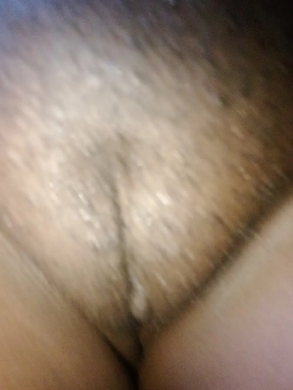 Hairy pussy gallery  #2