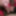 Pics sent to Fans