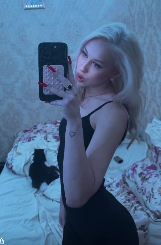 Rose Free Photos #14