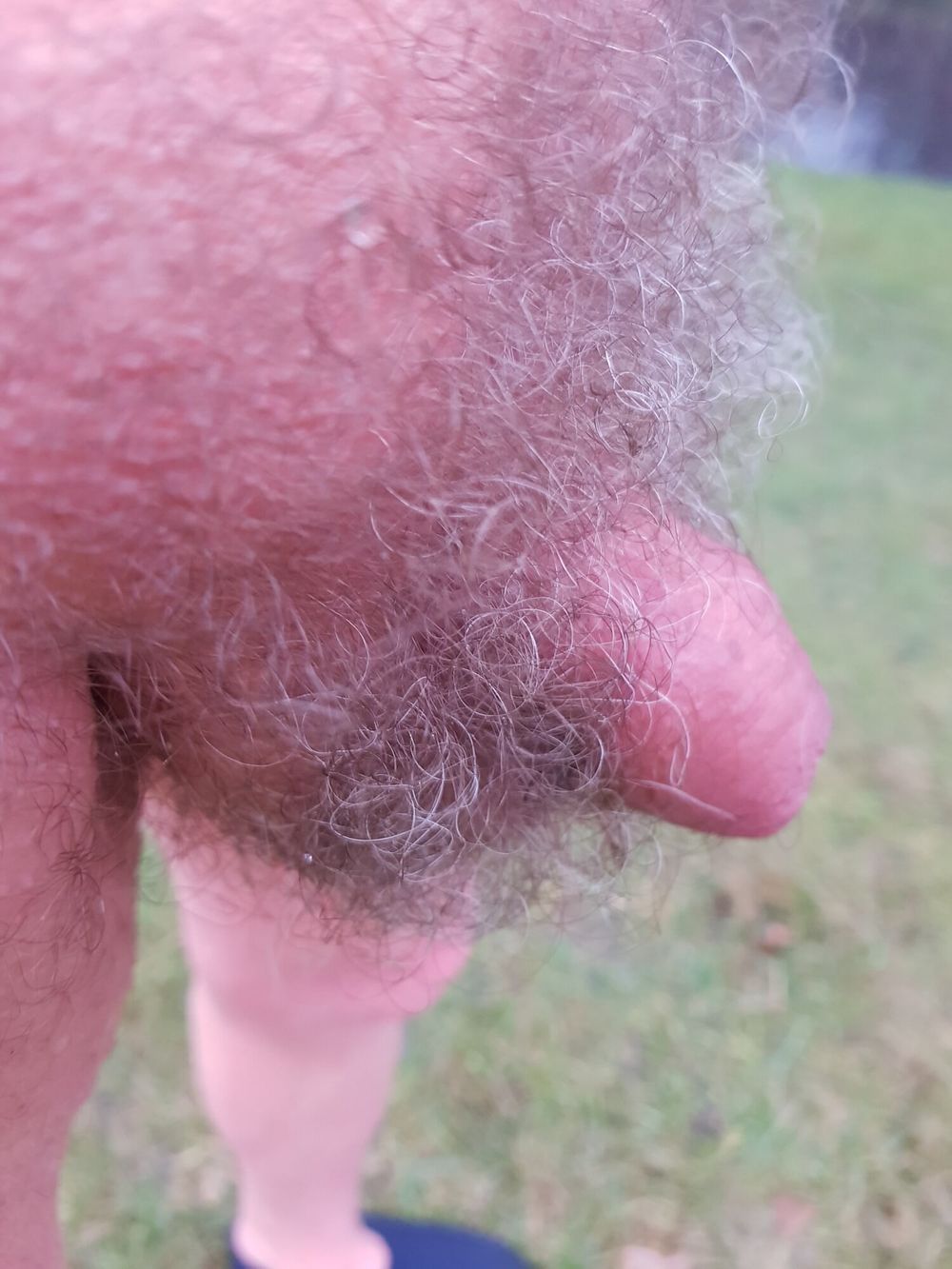 For hairy balls and pubes lovers #4