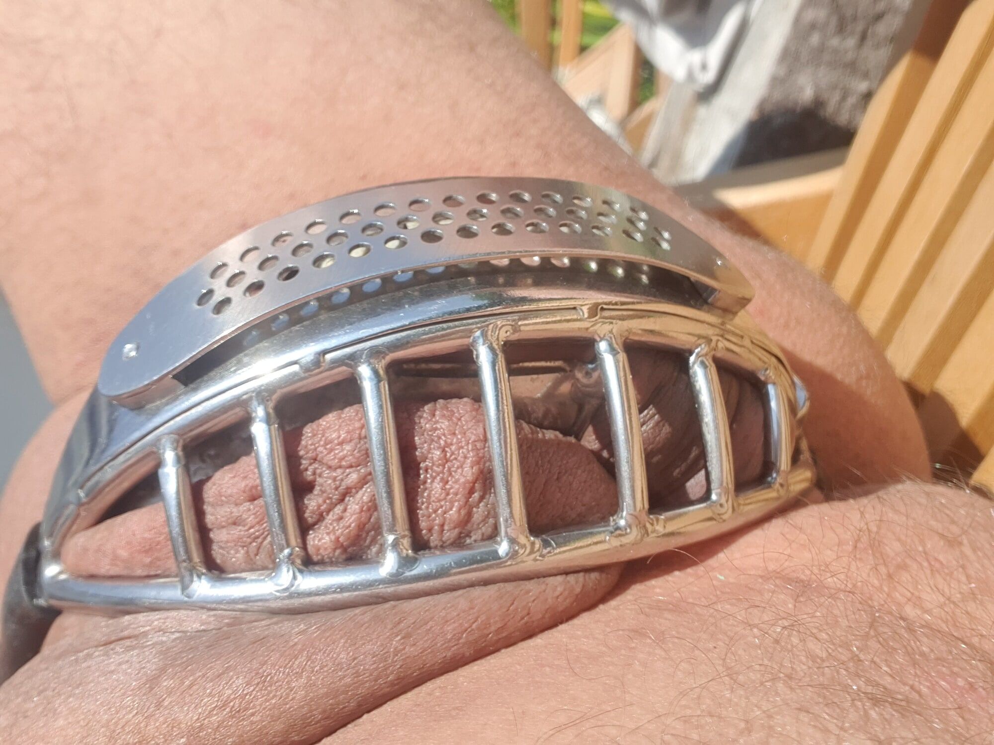 Chastity Cages #3