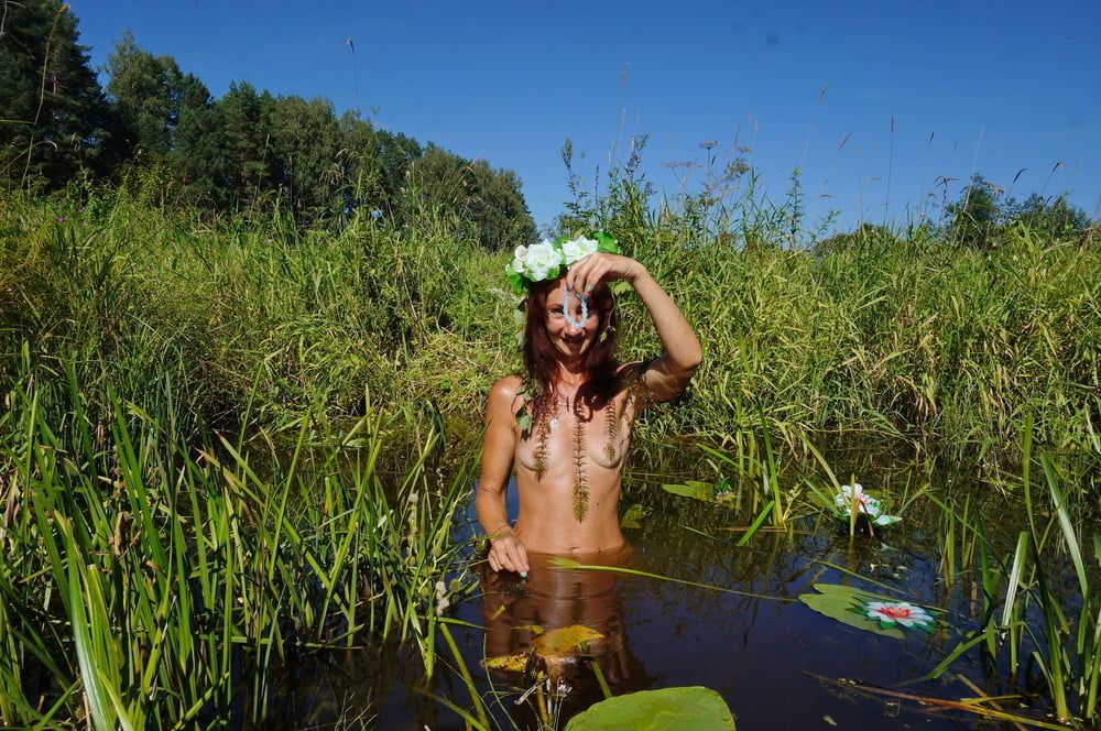 In pond with waterflowers #24