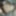 Black Cock Jerking off Lots Of Cum, Big Load