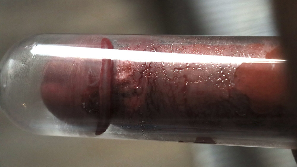 i loved to show my dick, listen and enjoy #26