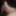 my hard cock