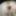 Maximum gape with new dildo