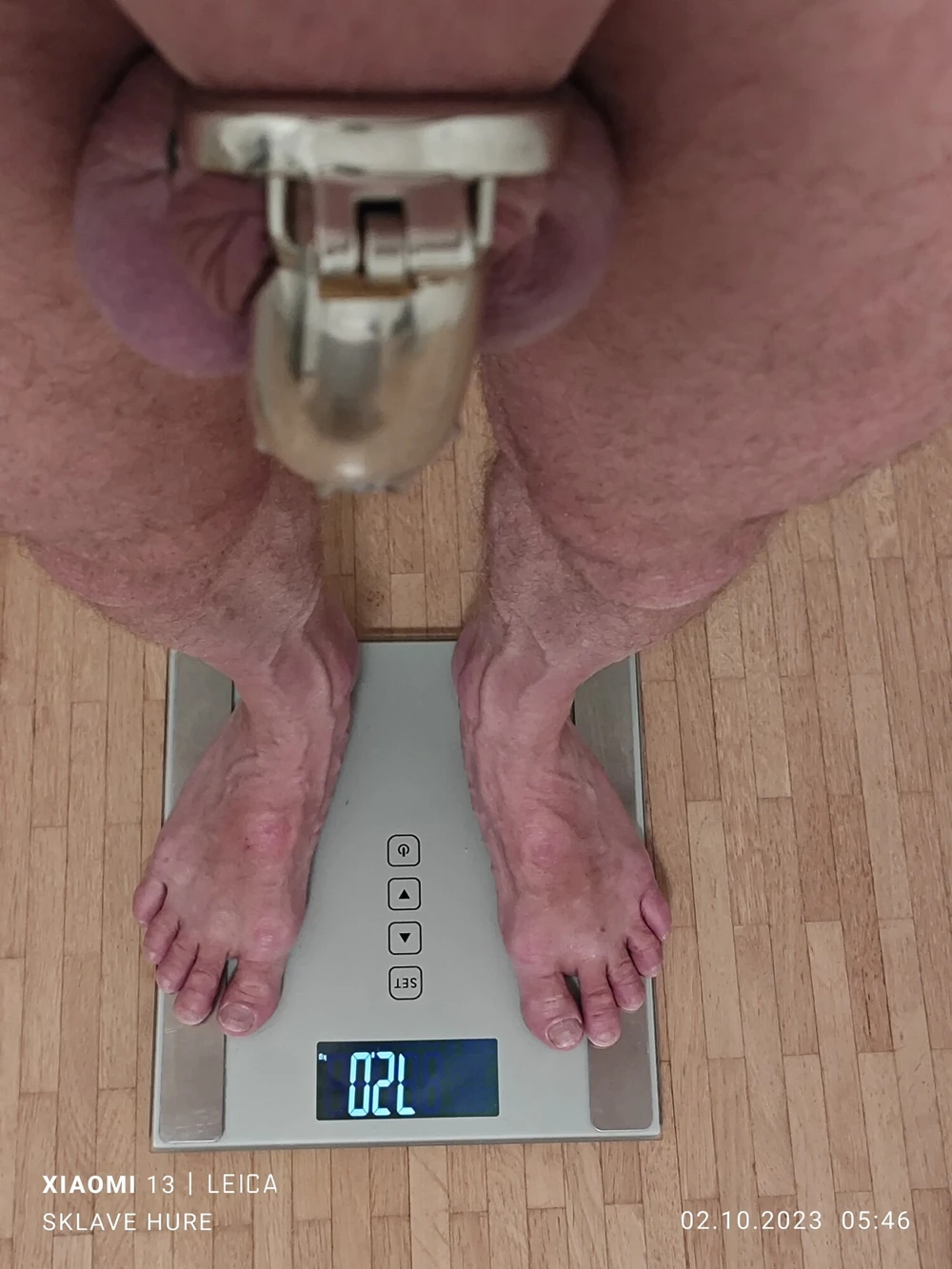 Weighing, Cagecheck, plugcheck Oktober 02, 2023 #3