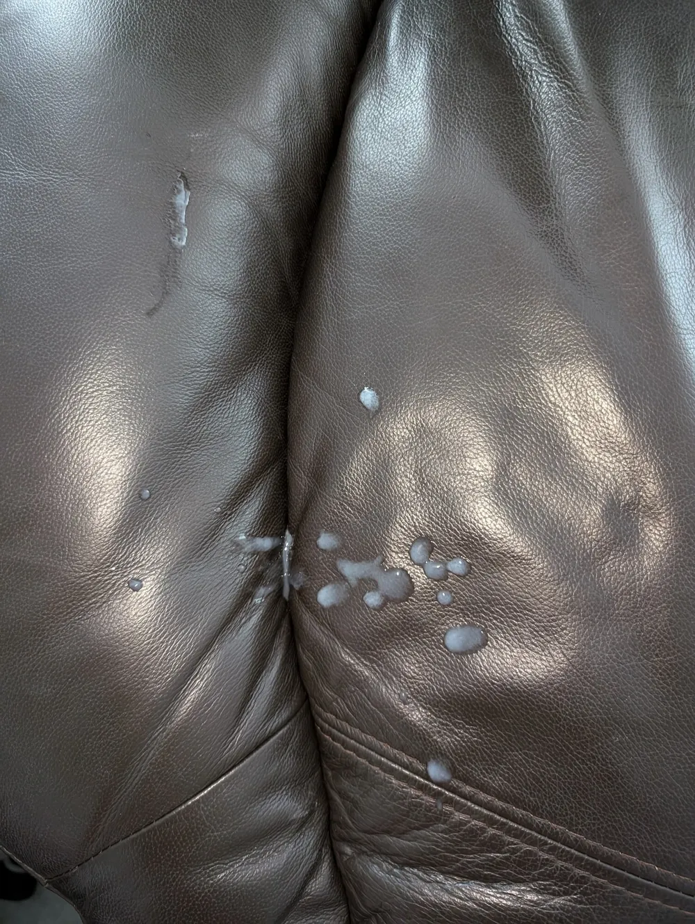 Cum on my leather pillow #12