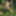 Horny bunny in stockings in the forest