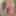 BustyGFsExposed - Blonde Babe Jessica Lynn Gets Her Pussy Po #35