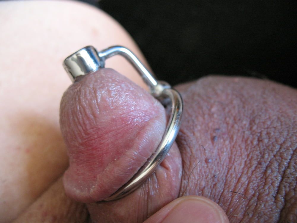 More steel in cock with glans rings #40