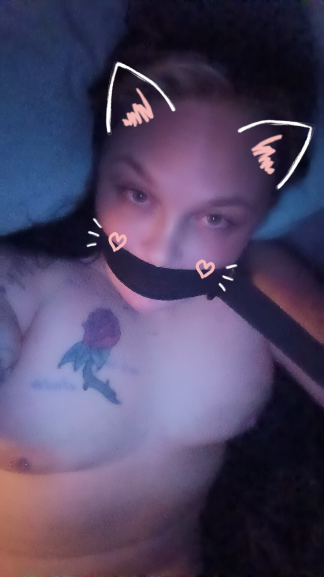 Slutty kitty