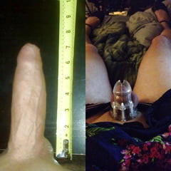 cock comparisons