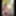 Nude walk on the forest path from the Waldkunstfahrt Darmsta