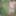 Nettles of disappointment #2