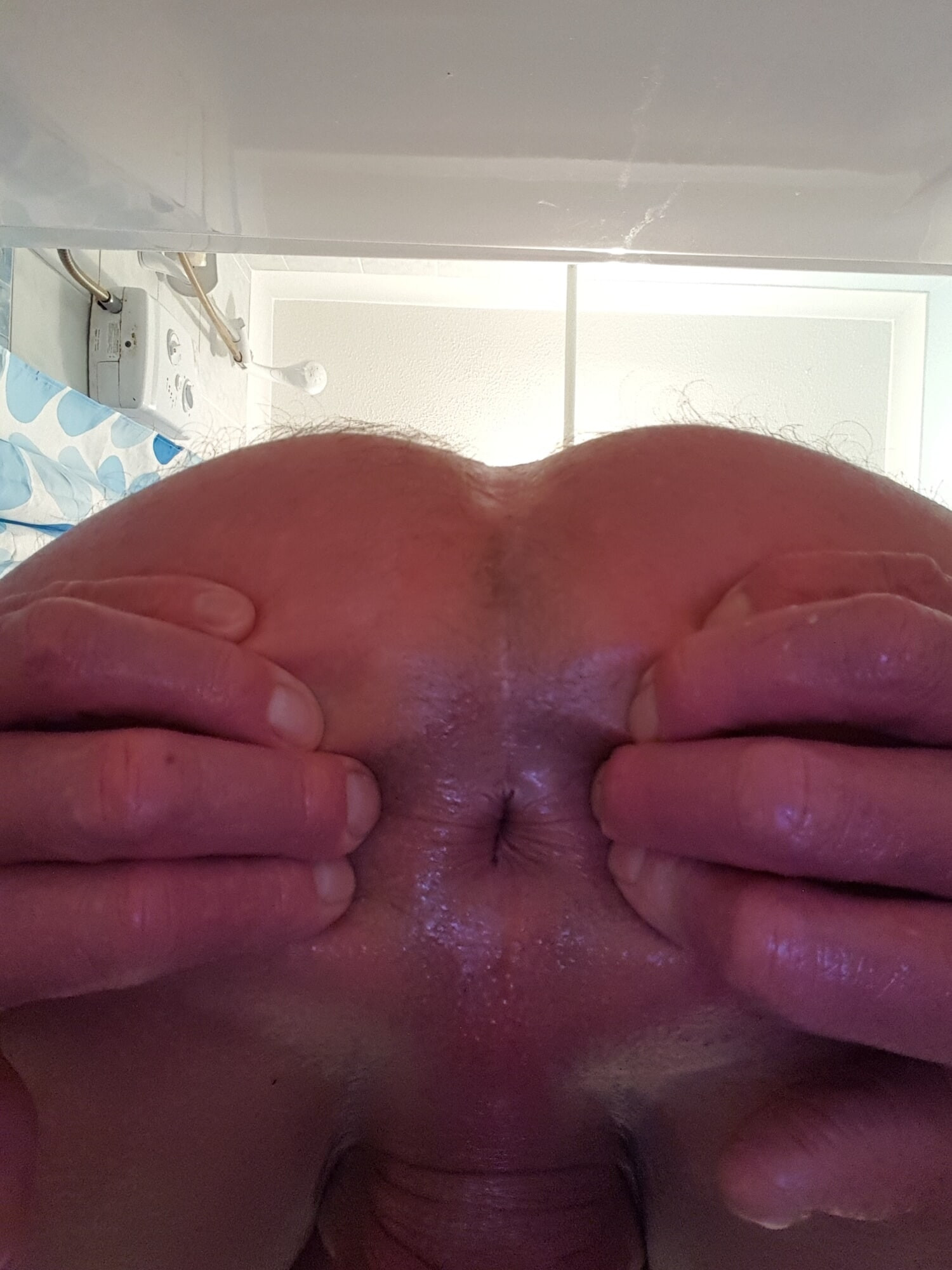 Anal #2