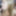 Curvy MILF Liisa blows a geek #12