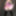Pink and Black Shiny PVC Basque mini skirt and thigh boots #8