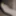 My feet
