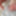 Precum #4