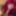 Cosplay Sexy Hot Blowjob with Funny Faces of a Teen Redhead  #47