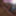 gif test