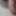 Close up cock