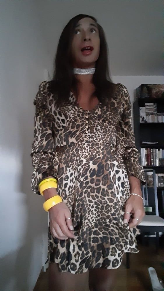 Sissy Tygra in leopard dress on 2019 octobre. #25