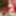 Merry Christmas. Daphne Angel as sexy Santa Girl.