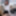 Nerd stepsis wanna play adult games with creampie ending #10