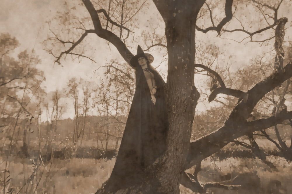 Witch on the Tree #2