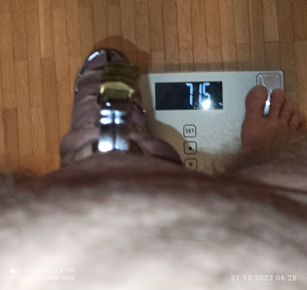 mandatory weighing and cagecheck of 21.12.2022