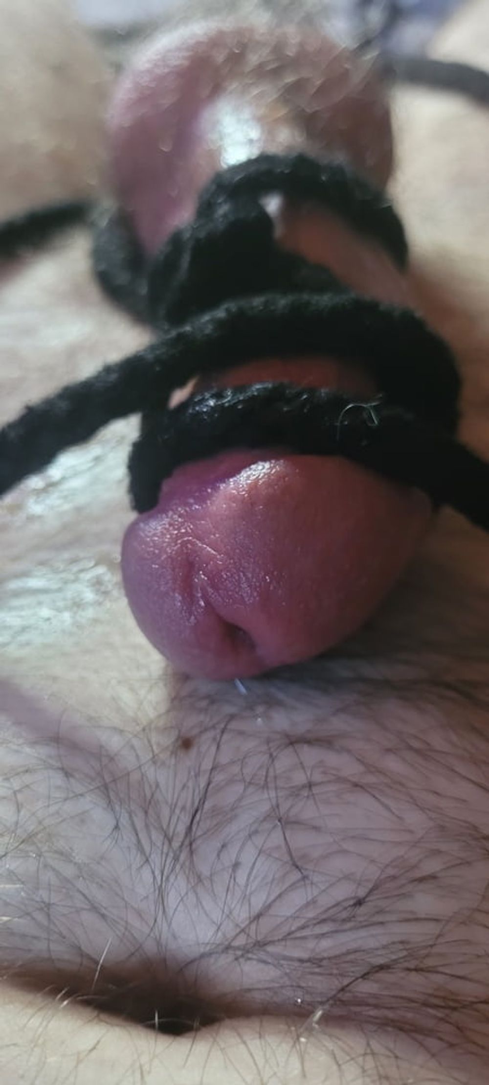 Oiled &amp; Lubed cock bondage with rope #8