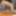 PHILAVISE-BTS with tiny Latina teen Ferr Lima